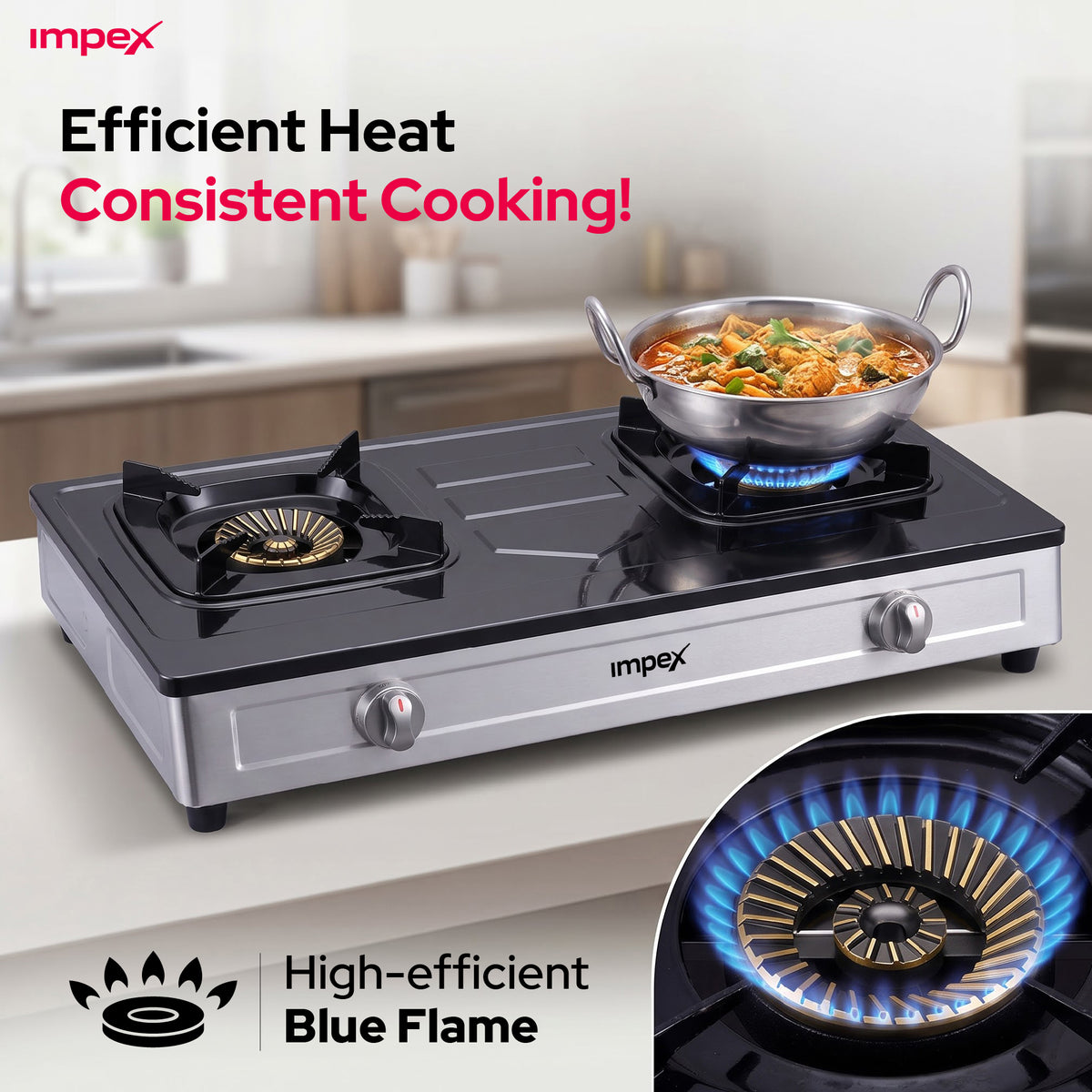 Impex 2-Burner LP Gas Stove Stainless Steel Heavy (IGS-121)