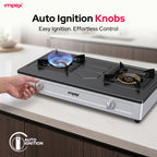 Impex 2-Burner LP Gas Stove Stainless Steel Heavy (IGS-121)
