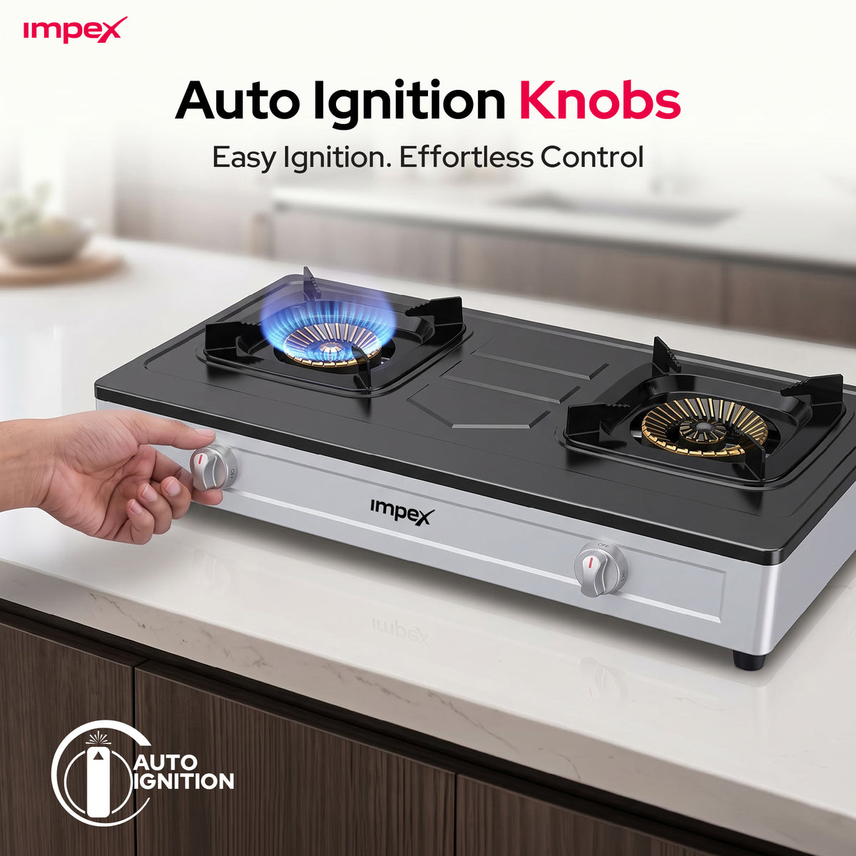 Impex 2-Burner LP Gas Stove Stainless Steel Heavy (IGS-121)